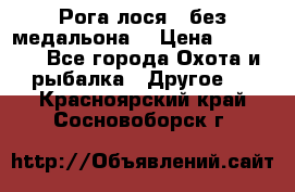 Рога лося , без медальона. › Цена ­ 15 000 - Все города Охота и рыбалка » Другое   . Красноярский край,Сосновоборск г.